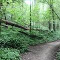 Buttermilk Trail