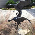 Canada Geese Sculpture