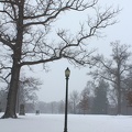 Snowfall In Byrd Park