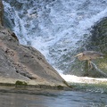 Great Blue Heron at Falls at Natural Bridge