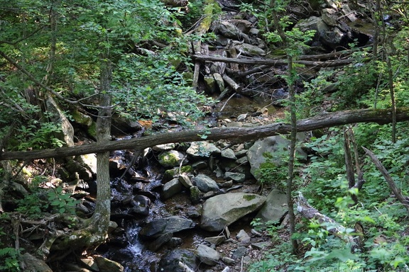 Dark Hollow Falls Trail