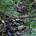 Dark Hollow Falls Trail