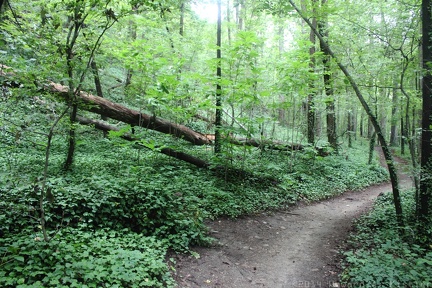 Buttermilk Trail