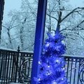 Christmas Tree against Snowy Exterior