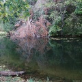 Trout Pond