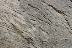 Natural Bridge Rock Face Detail