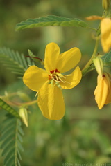 Gallery 8001